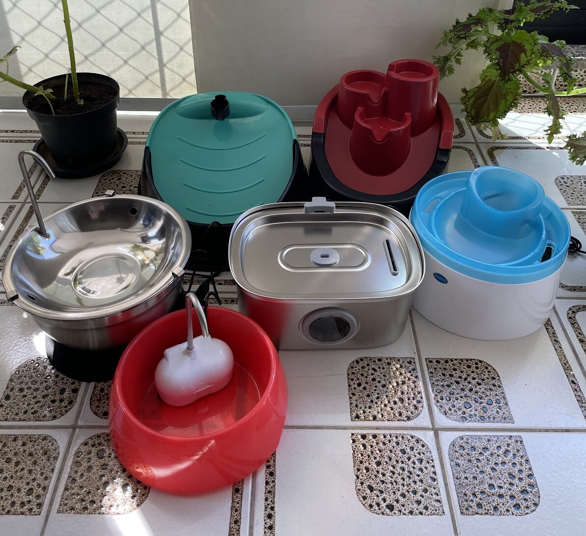 melhores fontes de água para gatos beberem mais água