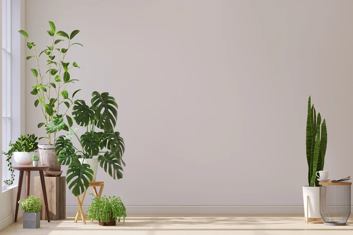 Guia completo de plantas seguras para pets no quarto
