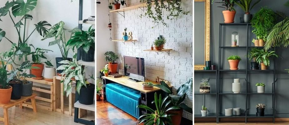 melhores plantas para ter dentro de apartamento