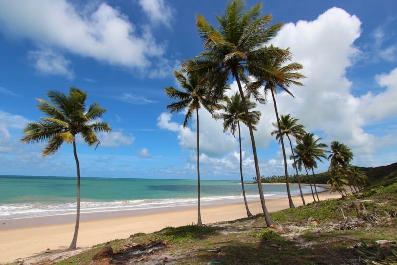 praias com falésias Paraíba