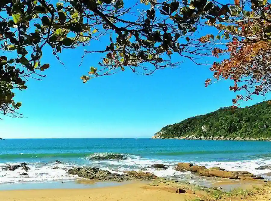 Guia Completo: As Melhores Praias para Surf em Santa Catarina