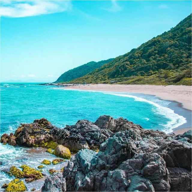 Surf em Florianópolis: Picos para Todos os Níveis