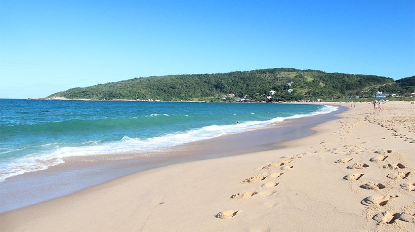 Guia Completo: As Melhores Praias para Surf em Santa Catarina