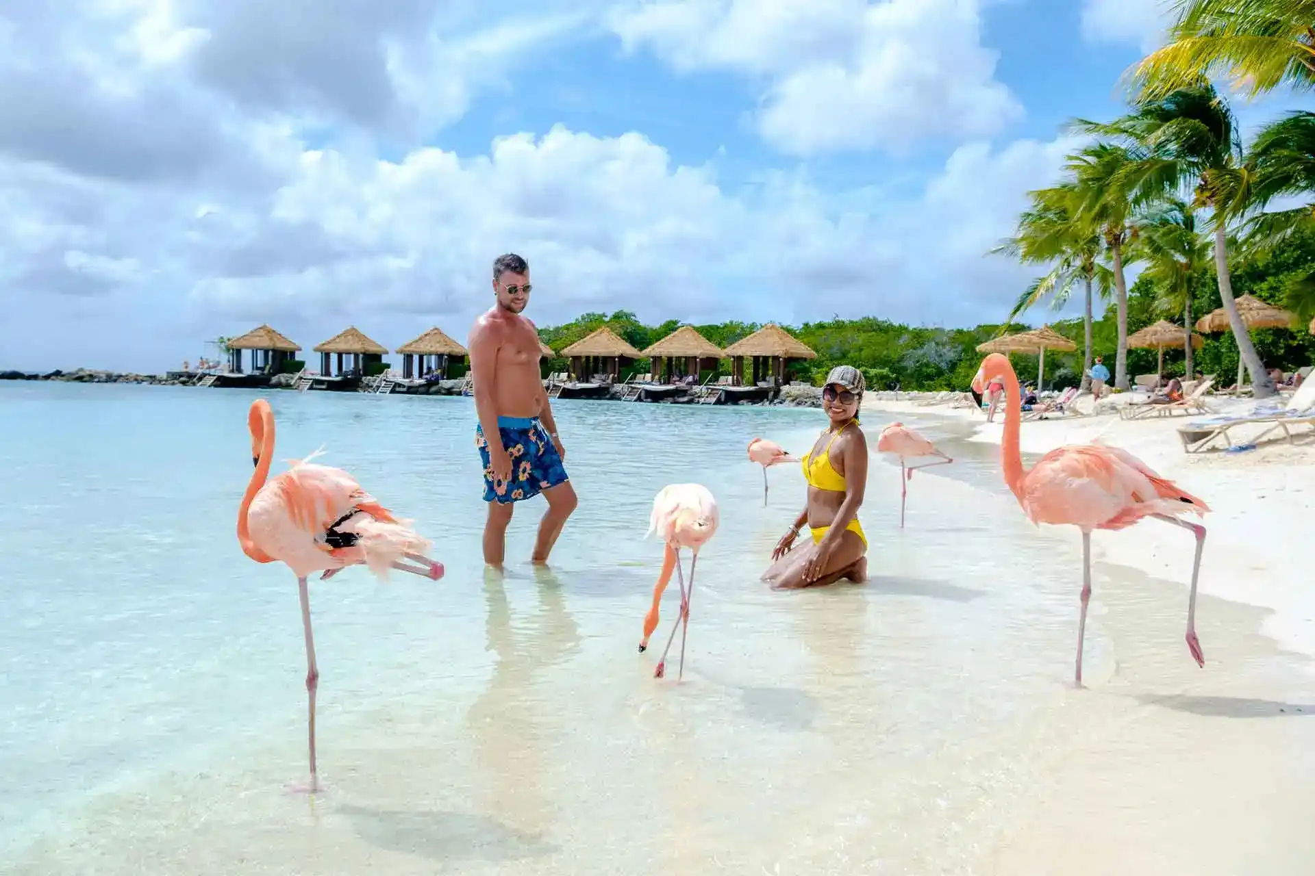 viagem caribe fevereiro 2026 sem burocracia