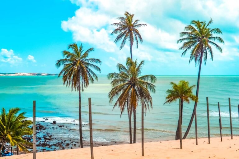 ponta negra vs pipa qual praia escolher