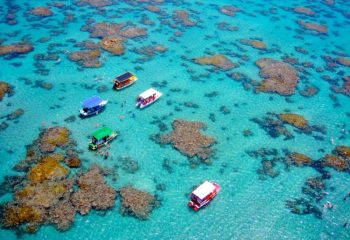 o que fazer em maracajaú com maré baixa