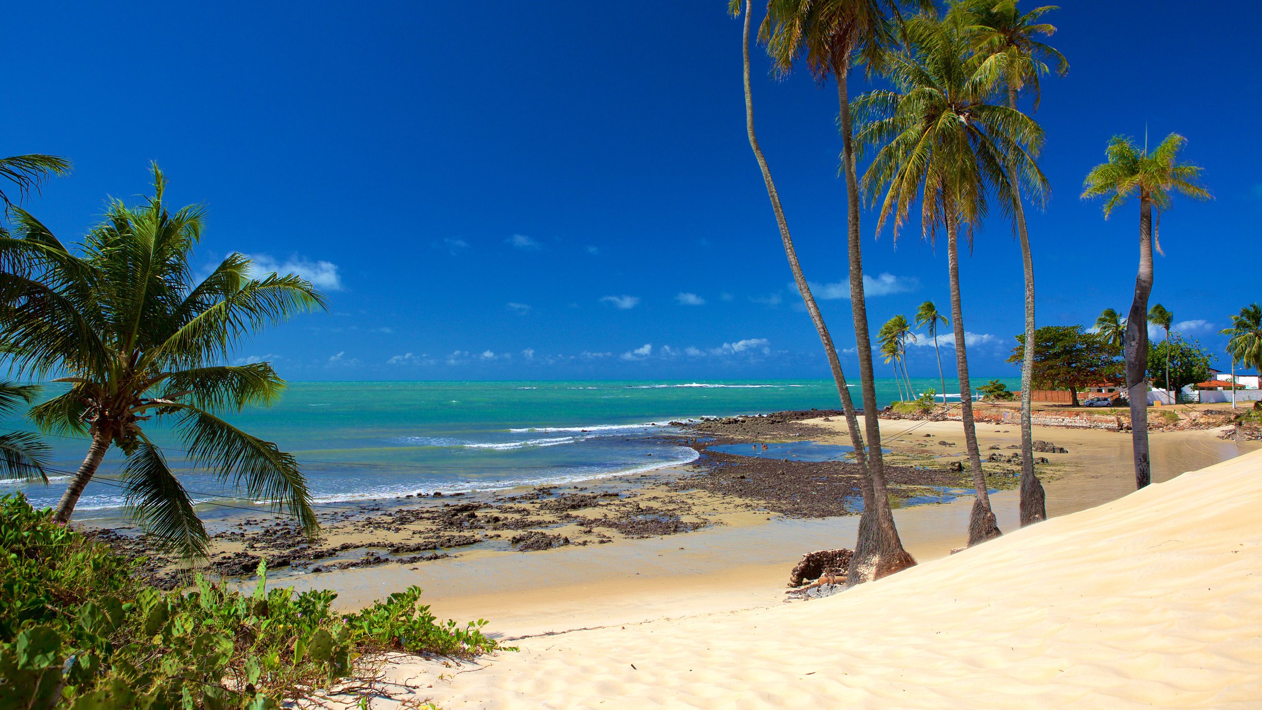 ponta negra vs pipa qual praia escolher