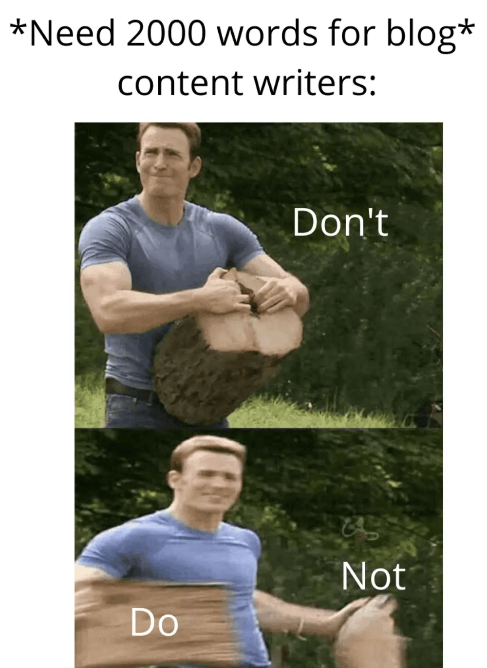 meme marketing digital