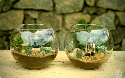 erros comuns ao montar terrário que não vende