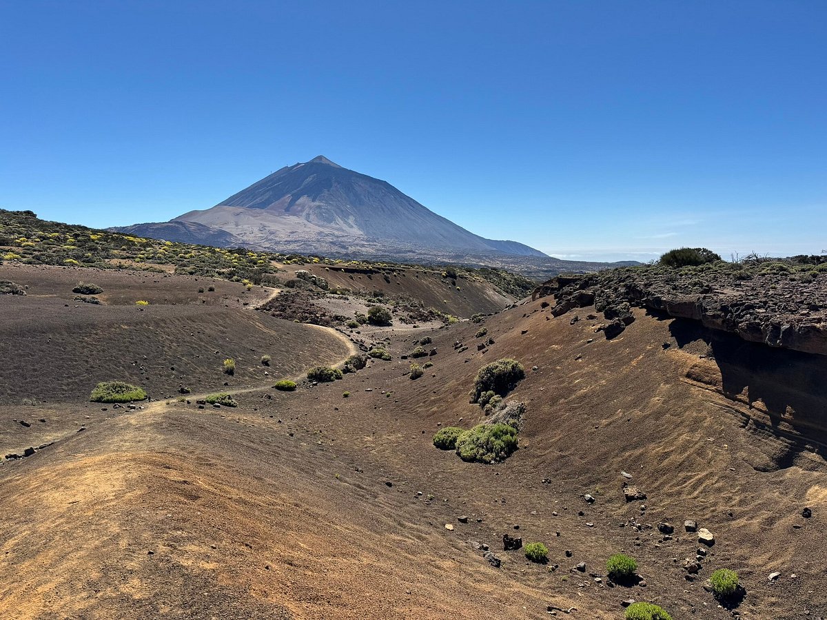 Como o Geledés Impacta a Luta por Direitos das Mulheres Negras