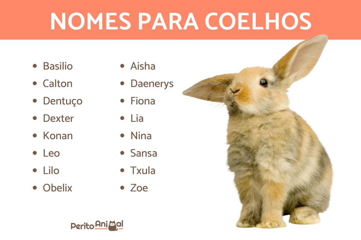 nomes de coelhos famosos da ficção