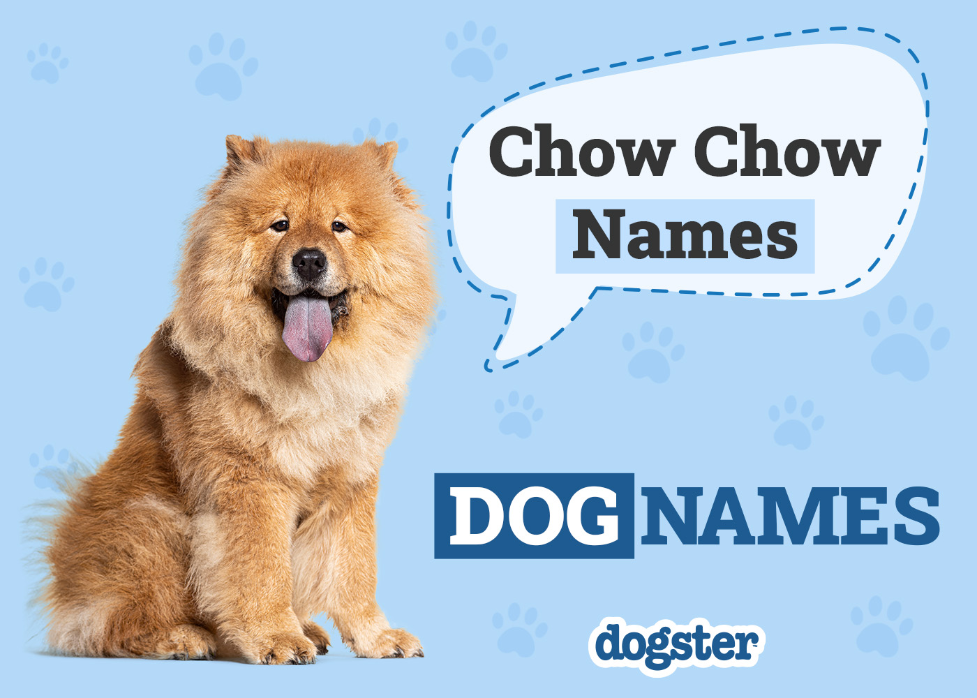 nomes para cachorro chow chow