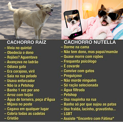 nomes de cachorros famosos com g