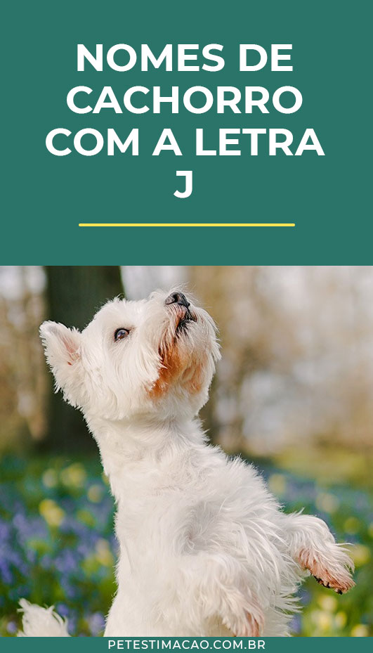 nomes para cachorro com a letra j
