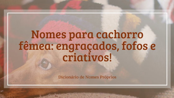 nomes criativos para cachorro com a letra j