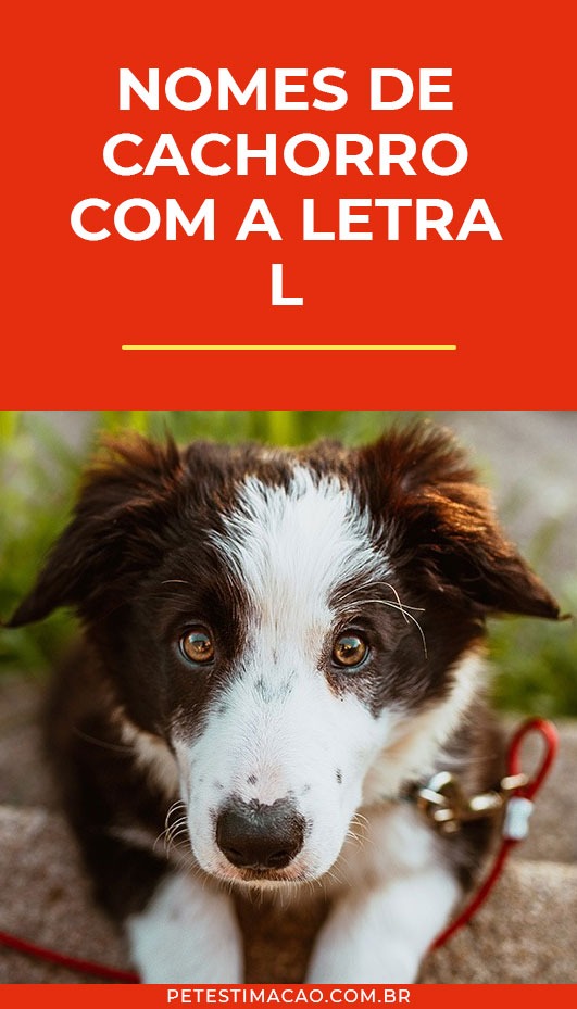 nomes para cachorro com a letra l