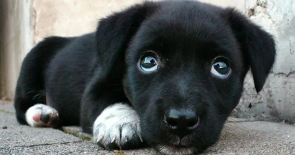 5 ideias de títulos