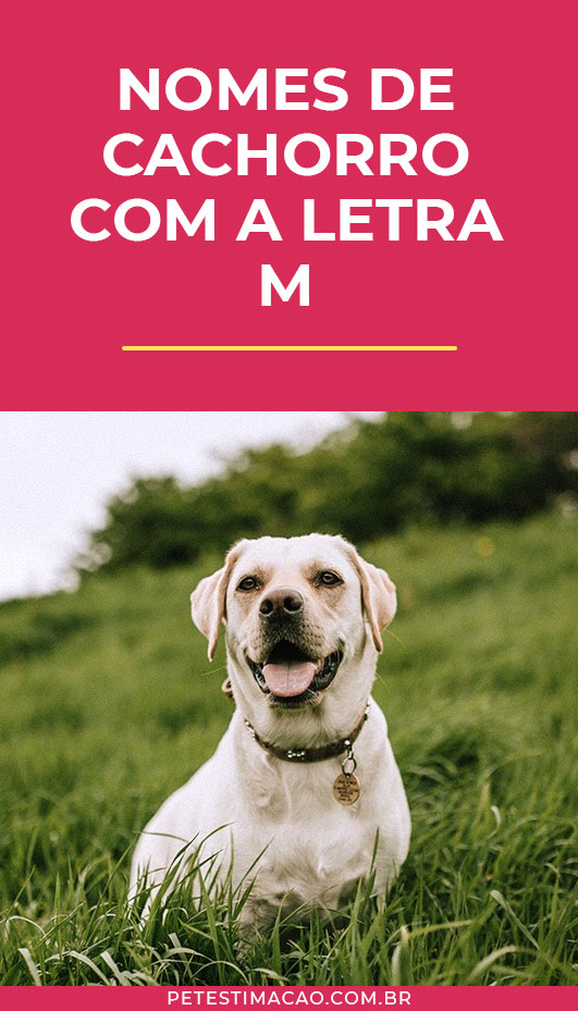 nomes de cachorro com m para machos
