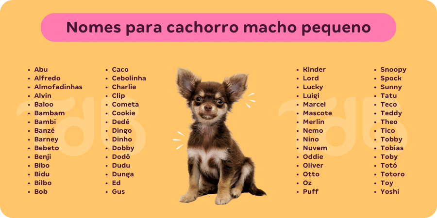 nomes de cachorro com m vs nomes com n