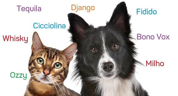 nomes de cachorro com m para machos