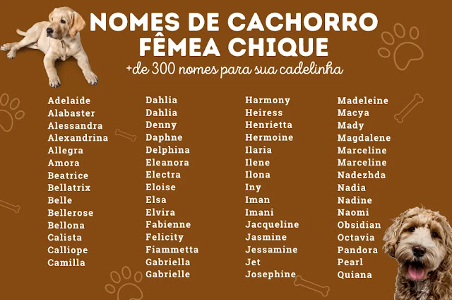 nomes de cachorros com Y para cães brancos