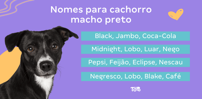 nomes de cachorros com Y para cães grandes