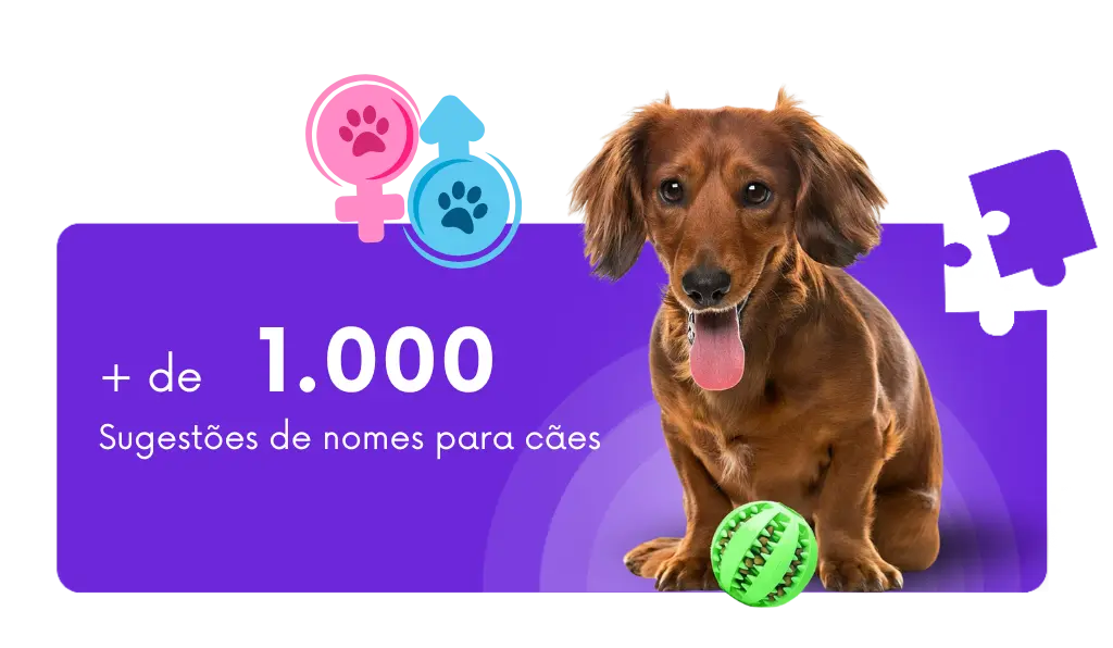 Nomes de Cachorro por Personalidade: Encontre o Ideal para Seu Cão
