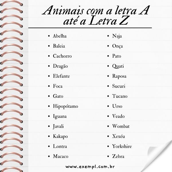 nomes para cachorro com a letra z