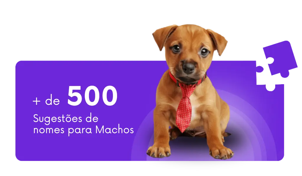 Doberman: Conheça a história e origem da raça