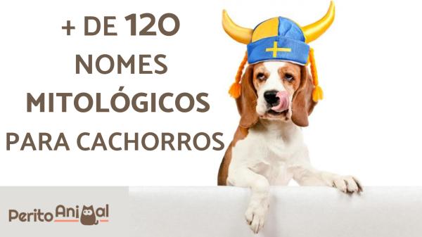 nomes para cachorro inspirados em mitologia