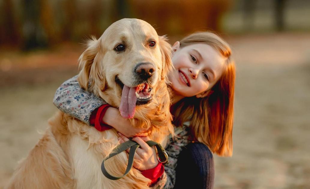 custo para registrar nome mitológico de cachorro