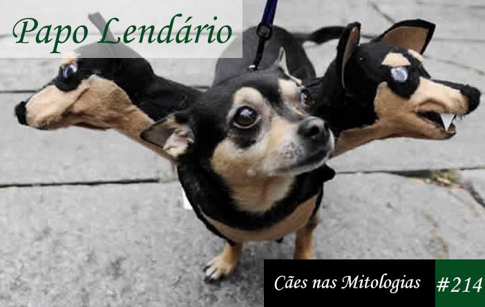 nomes de mitologia grega vs nórdica para cachorros