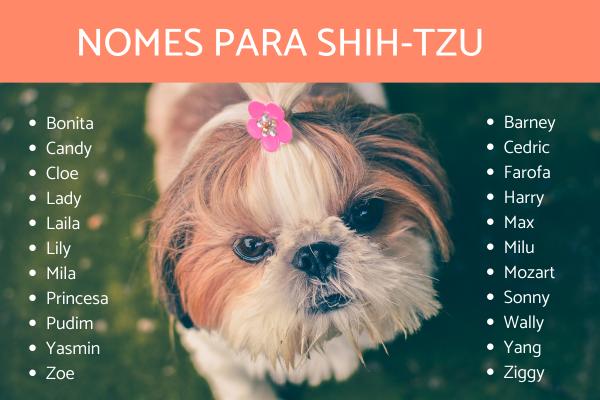 nomes para cachorro shih tzu fêmea