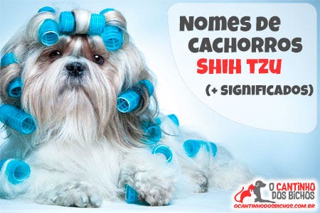 nomes para cachorro shih tzu fêmea