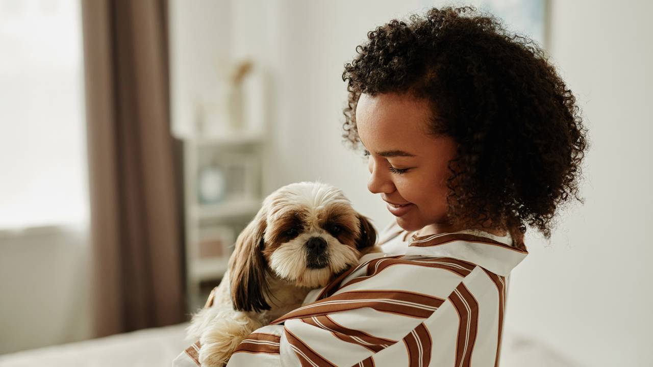 nomes para cachorro shih tzu fêmea