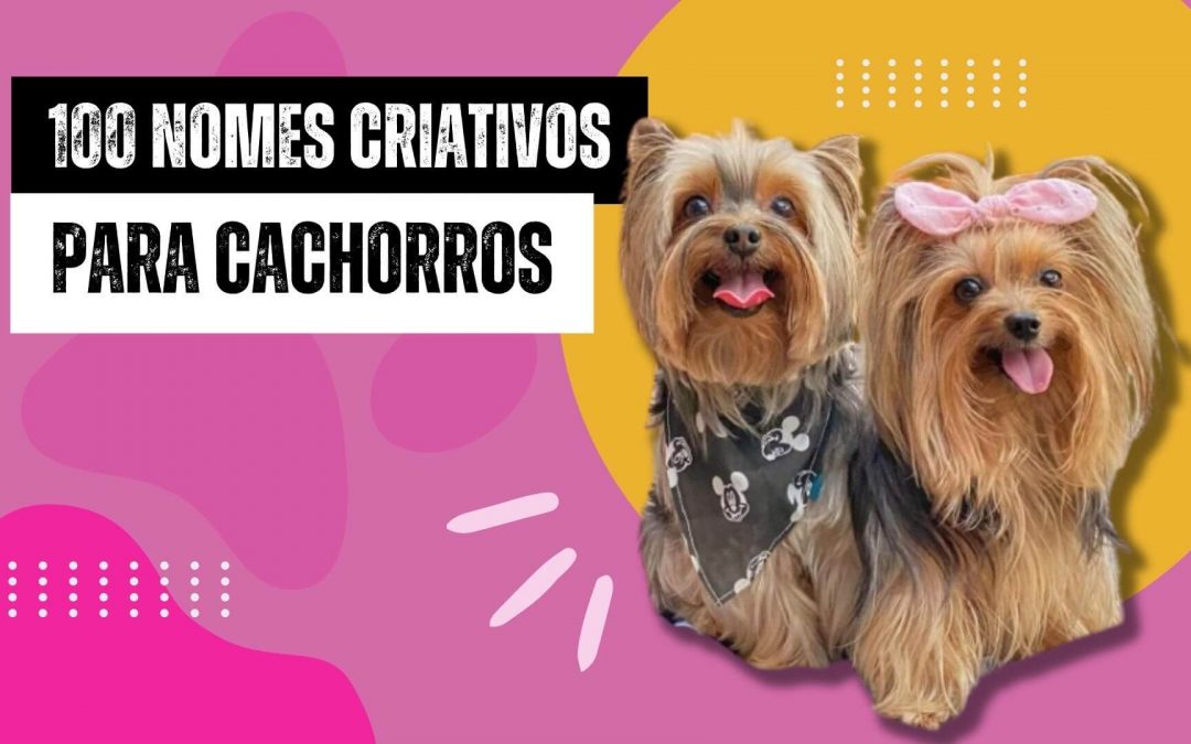 nomes fofos para yorkshire macho