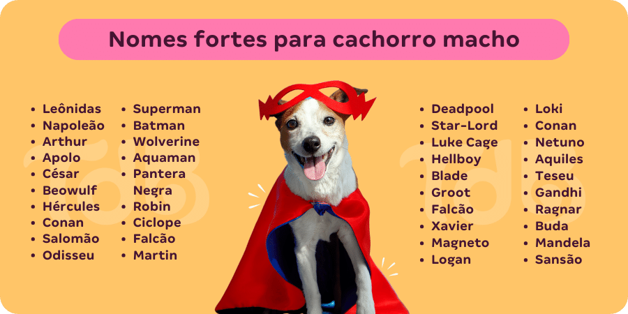 nomes de yorkshire machos inspirados em personagens