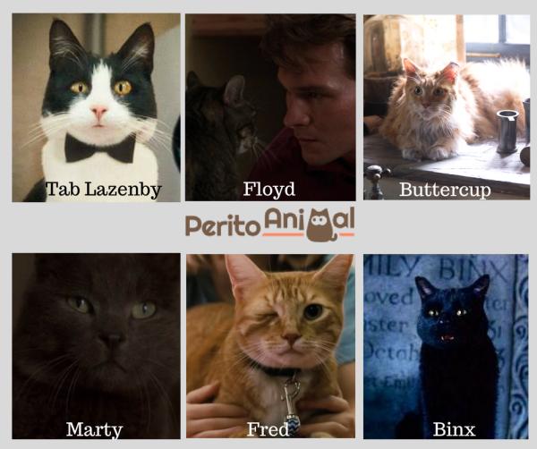 nomes para gatas de filmes
