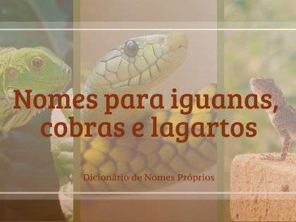 quanto custa registrar nome de lagarto