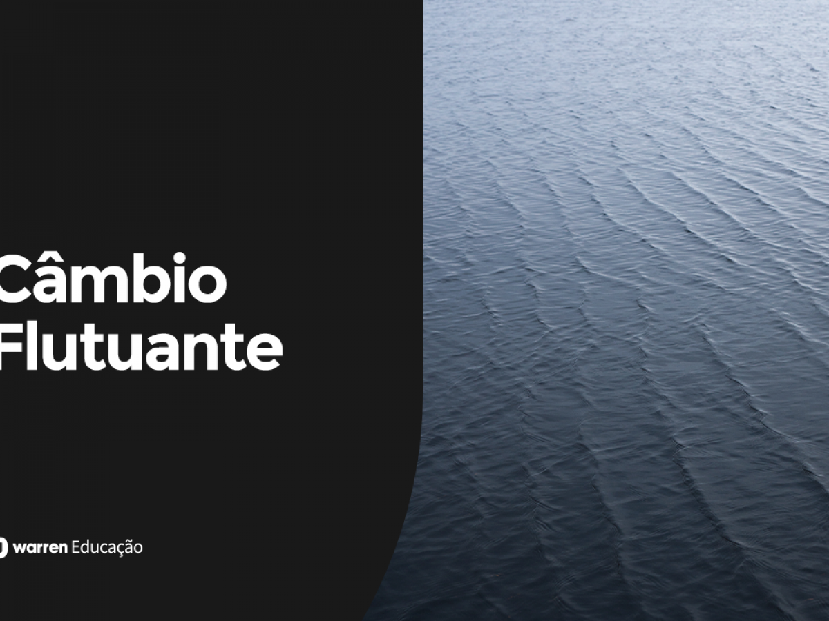 o que é câmbio flutuante e fixo economia