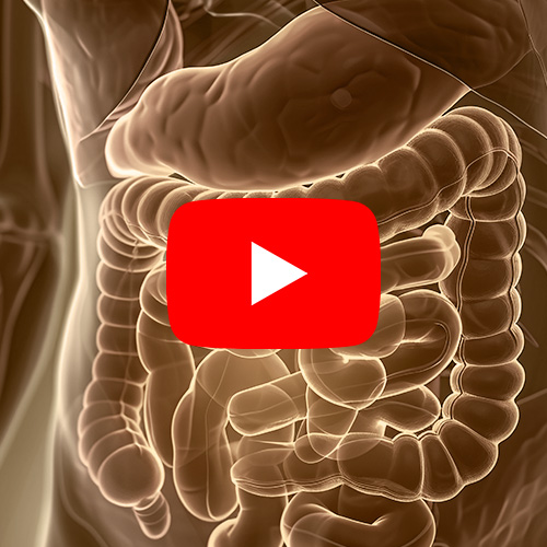 Diagnóstico e Cuidados Essenciais