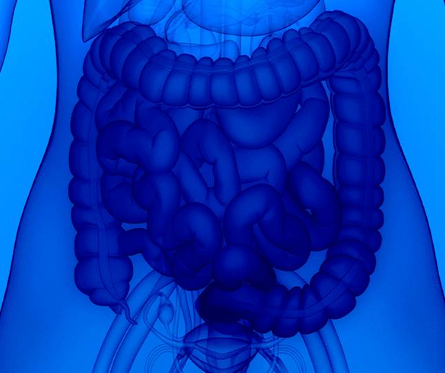 H. Pylori e Gastrite Enantematosa: Entenda a Conexão e o Tratamento