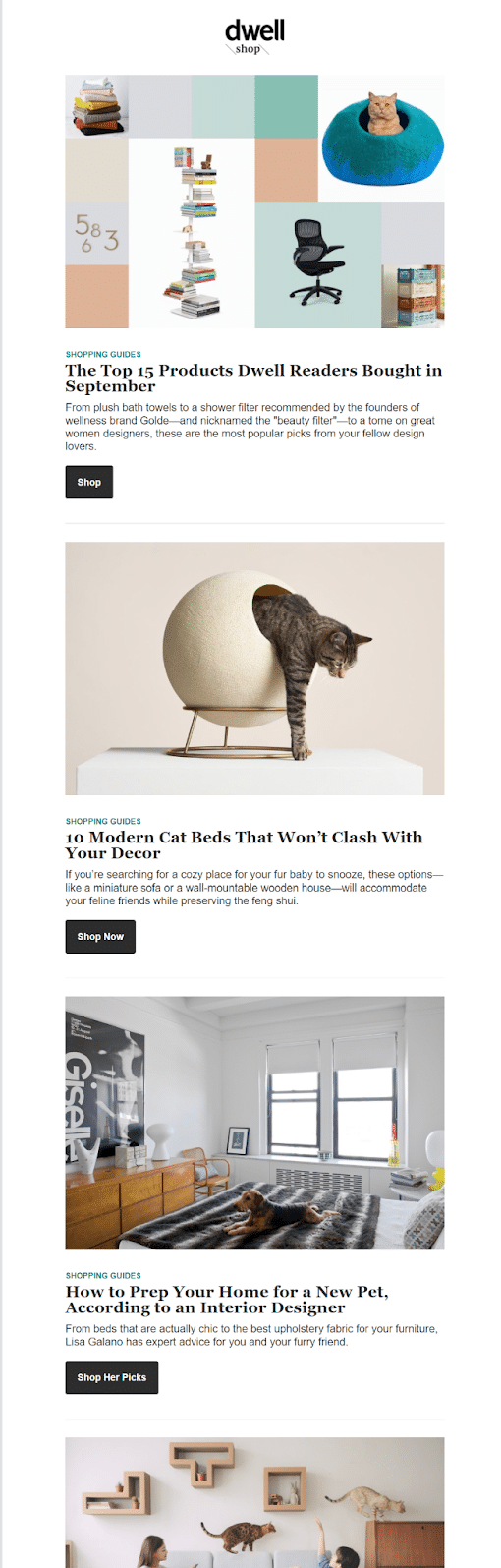 o que é newsletter e e-mail marketing para lojas