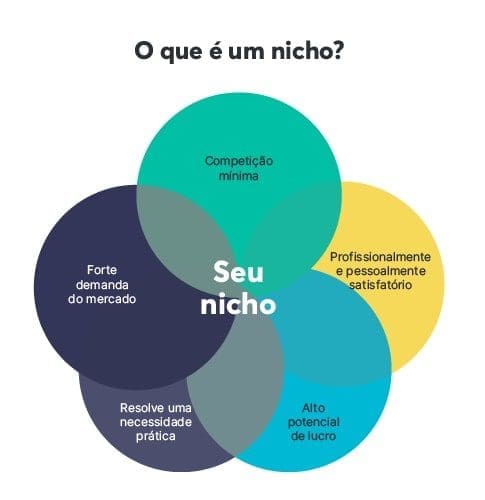 o que é um nicho de mercado