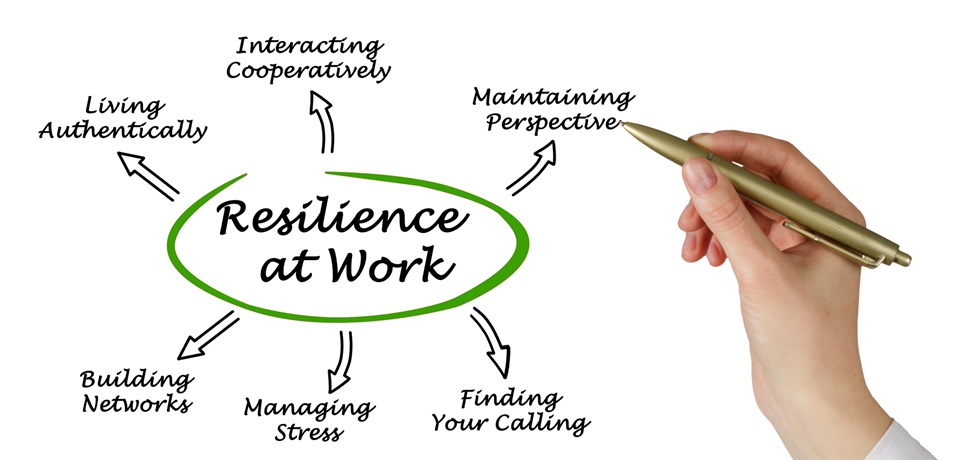 5 passos para construir sua rede de apoio profissional