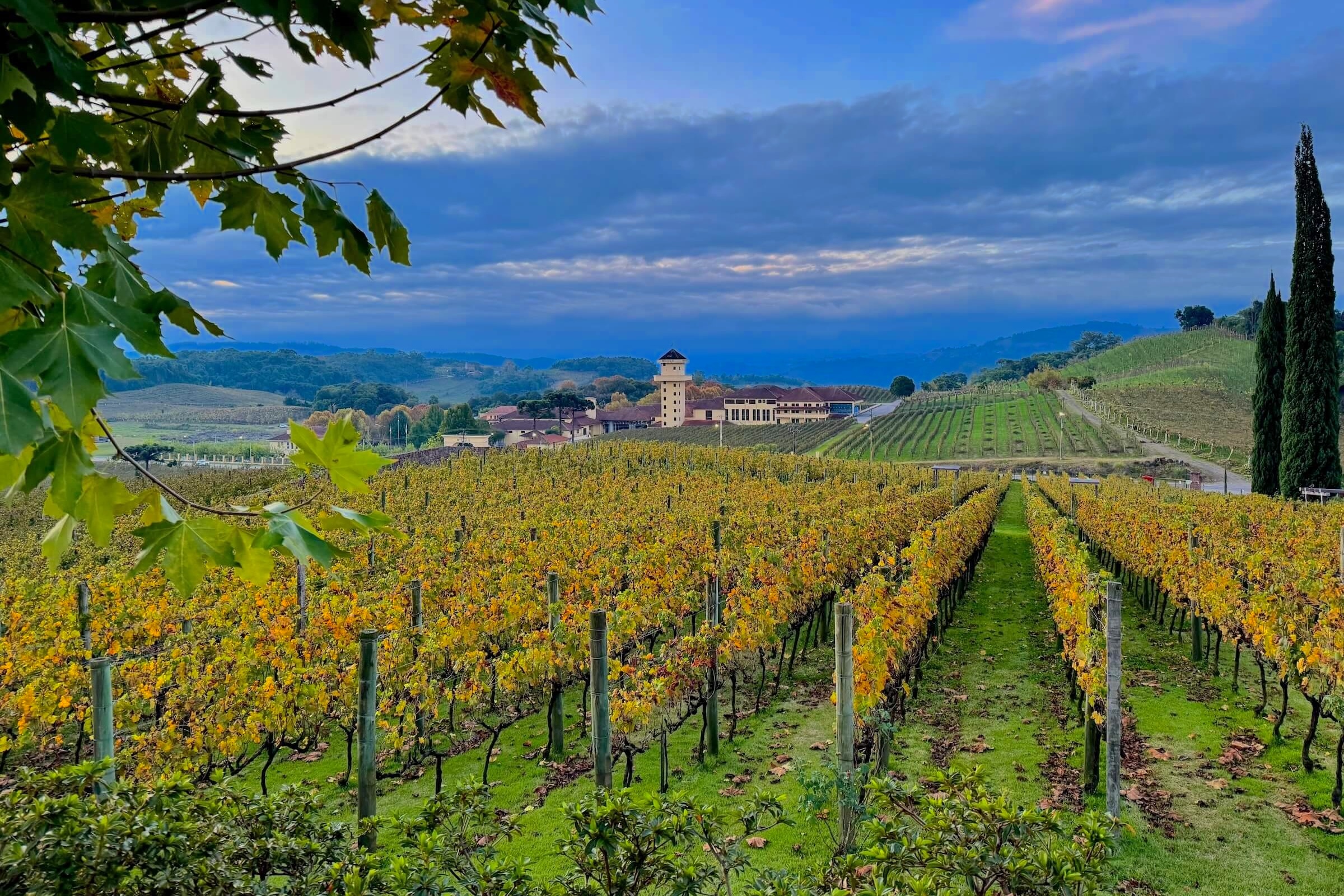 A História da Imigração Italiana na Serra Gaúcha