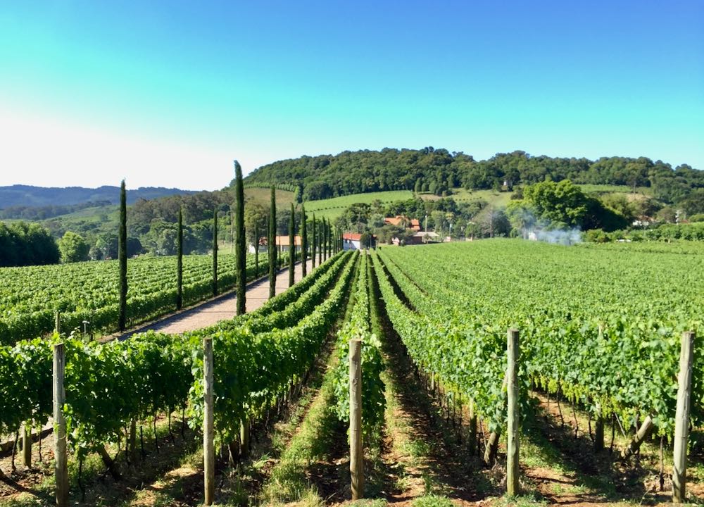 o que fazer em bento gonçalves vinícolas