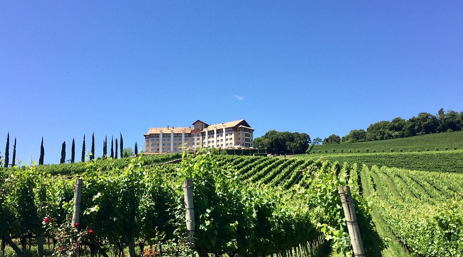 Roteiro Completo de 3 Dias em Bento Gonçalves