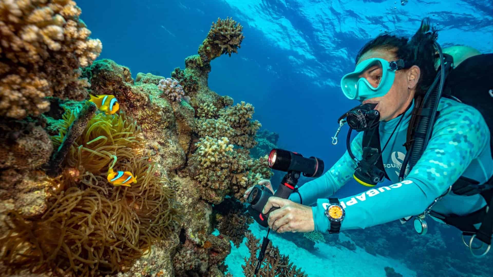 Além do Mergulho: Praias de Bombinhas para Relaxar e Curtir em Família