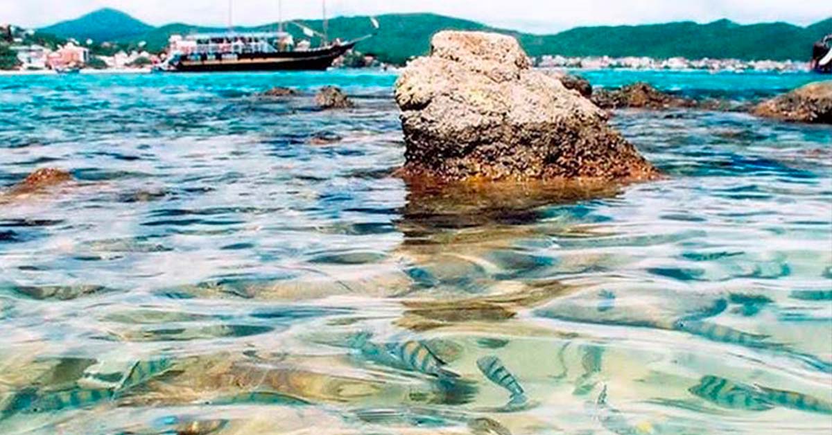 Além do Mergulho: Praias de Bombinhas para Relaxar e Curtir em Família